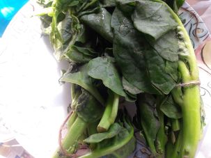 buch of malabar spinach